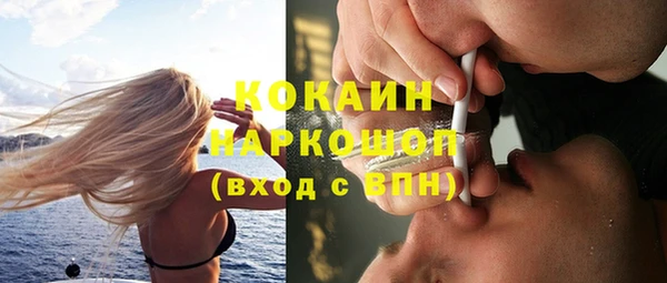 гашик Богородск