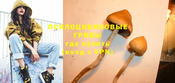 прущая мука Богданович