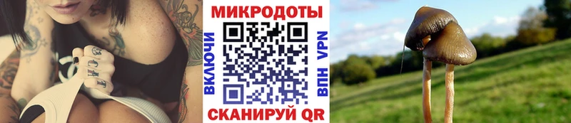 как найти закладки  Бобров  Псилоцибиновые грибы Magic Shrooms 